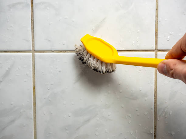 Best Attic Mold Removal  in Lake Arrowhead, CA