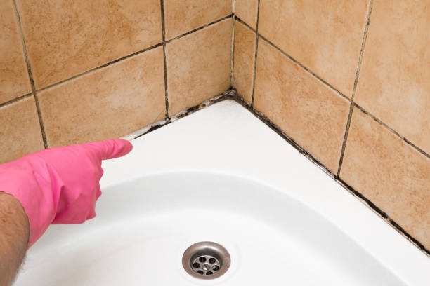 Water Damage Restoration in Lake Arrowhead, CA